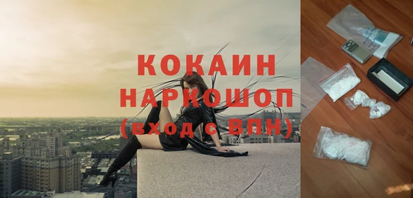 ешки Горняк