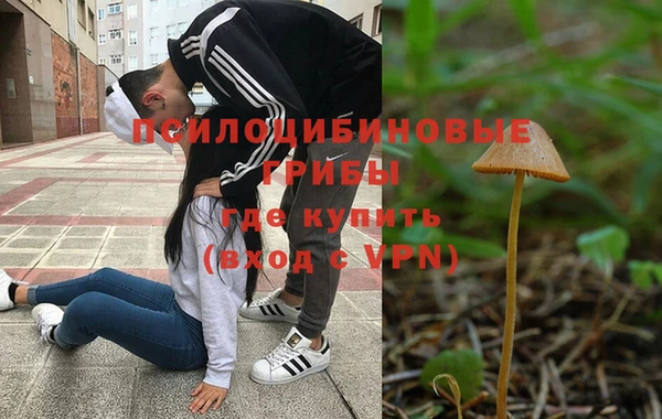 эйфоретик Горно-Алтайск