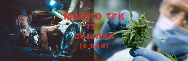 ешки Горняк
