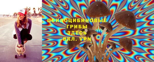 mix Горнозаводск