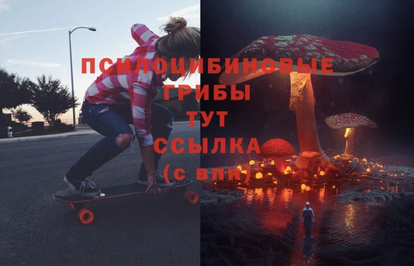 ешки Горняк