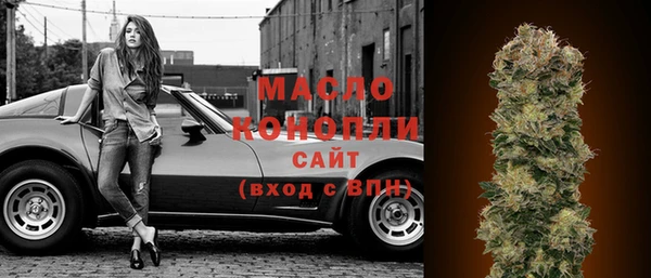 ешки Горняк