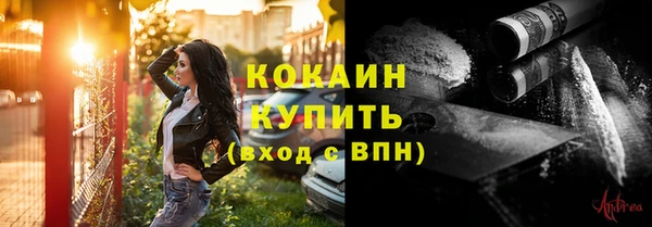 ешки Горняк